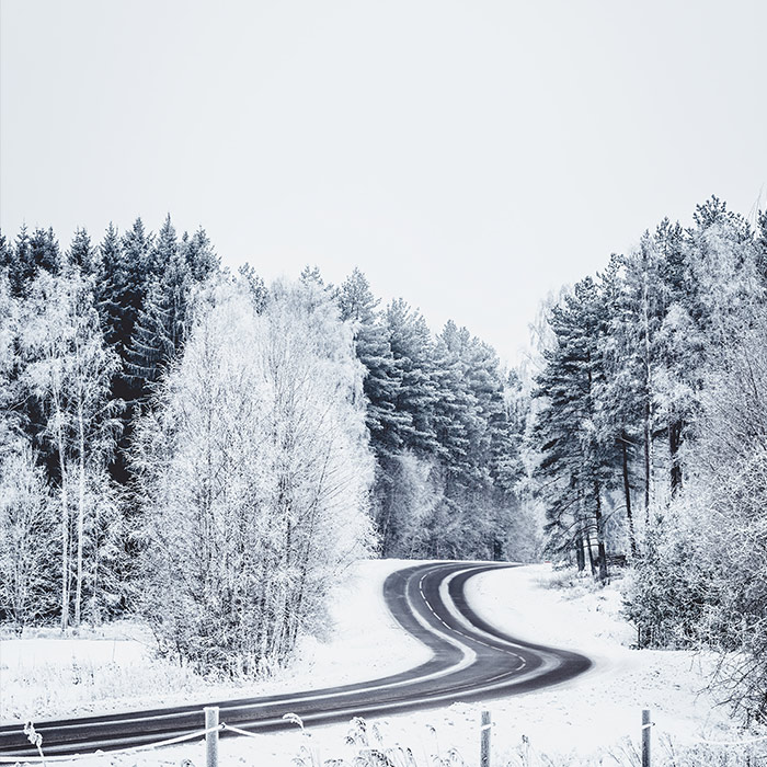 front_square_winter_road