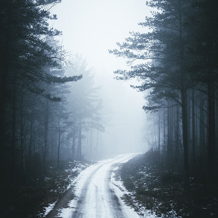 front_square_winter_road_forest