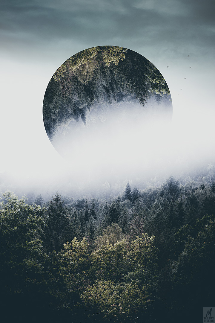 web_forest_fog_moon2